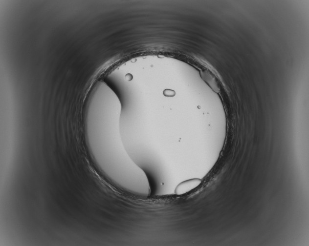 X0000083550930200703021647