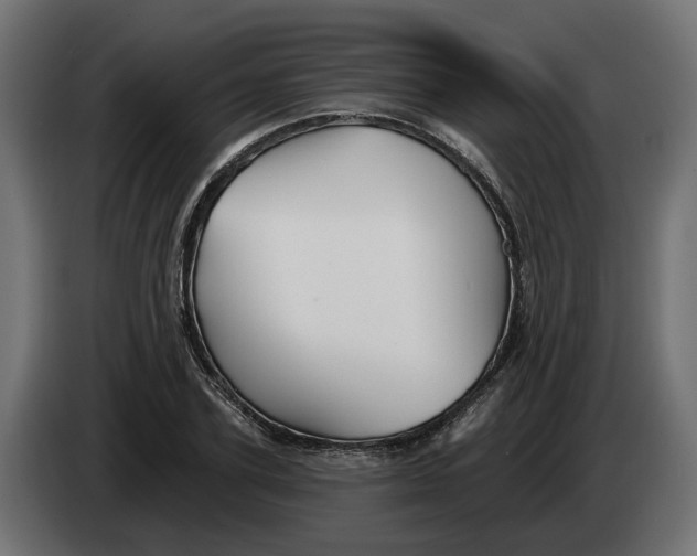 X0000083550931200703021647