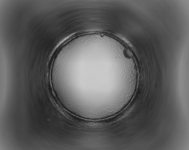 X0000083550933200703021647