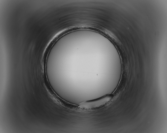 X0000083550934200703021647