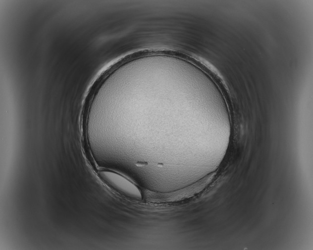 X0000083550935200703021647