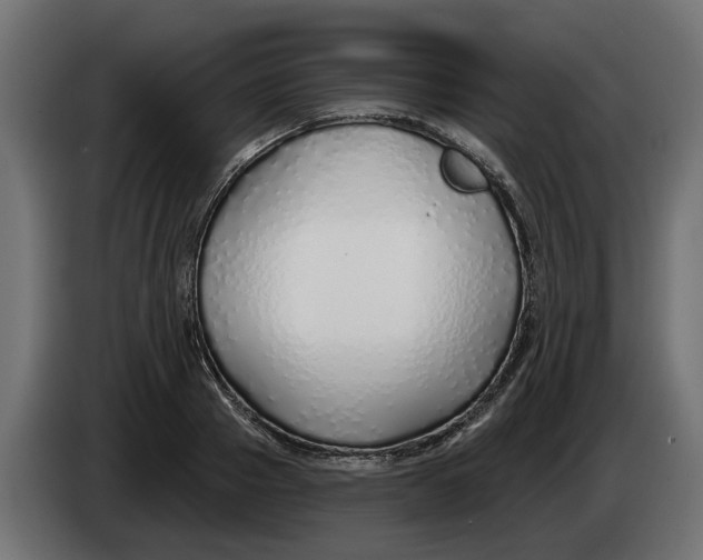 X0000083550937200703021647