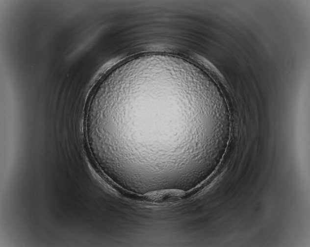 X0000083550938200703021647