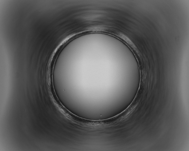 X0000083550939200703021647