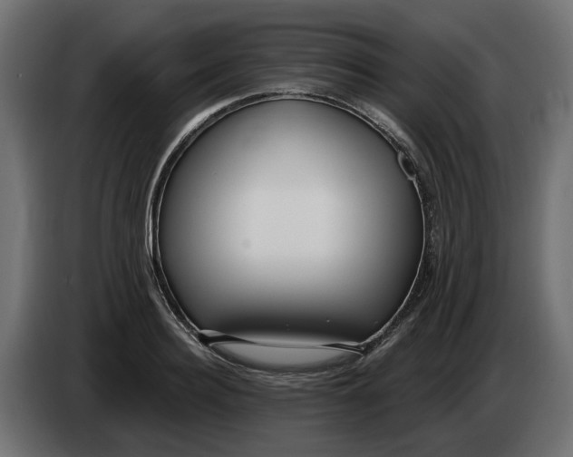 X0000083550940200703021647