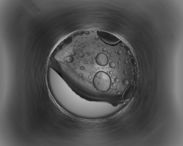 X0000083550941200703021647