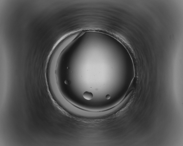 X0000083550942200703021647