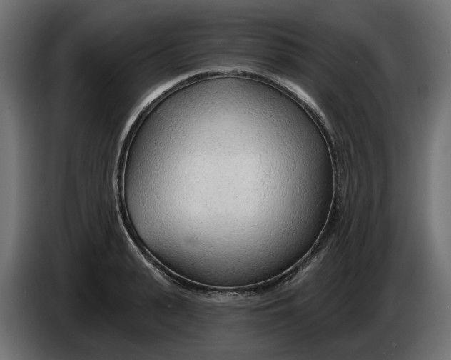 X0000083550943200703021647