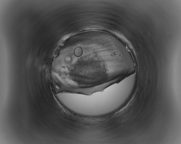 X0000083550945200703021647