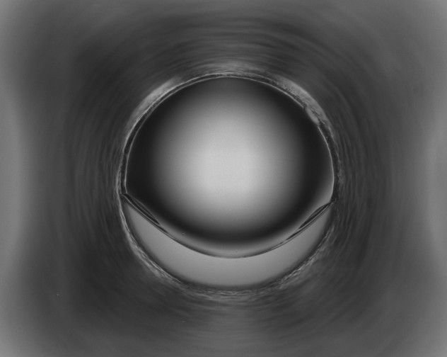 X0000083550946200703021647
