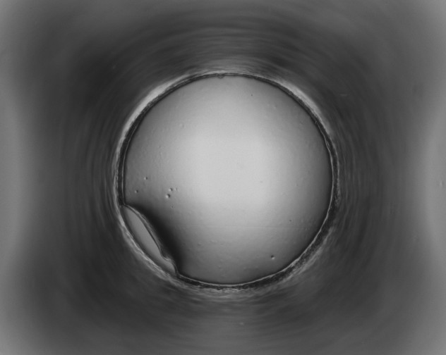 X0000083550949200703021647
