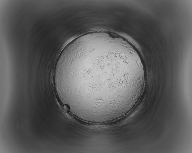 X0000083550953200703021647