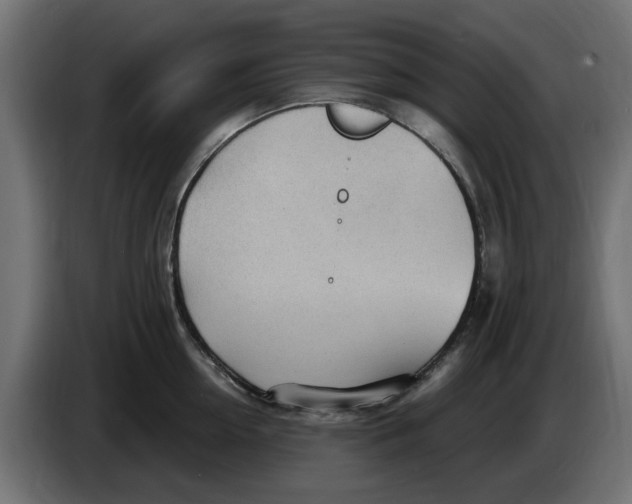 X0000083550954200703021647