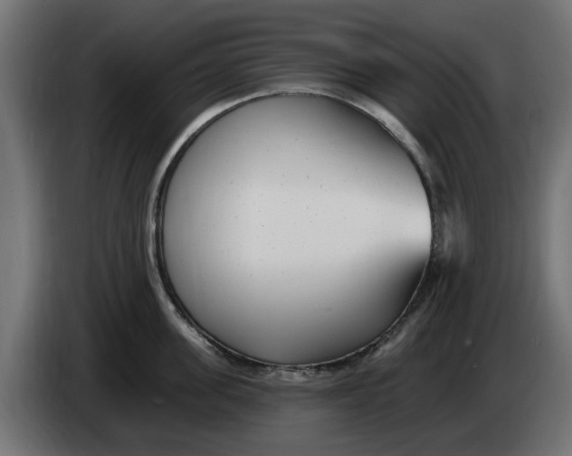 X0000083550955200703021647