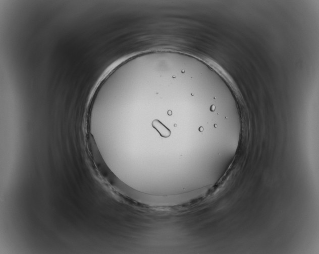 X0000083550956200703021647