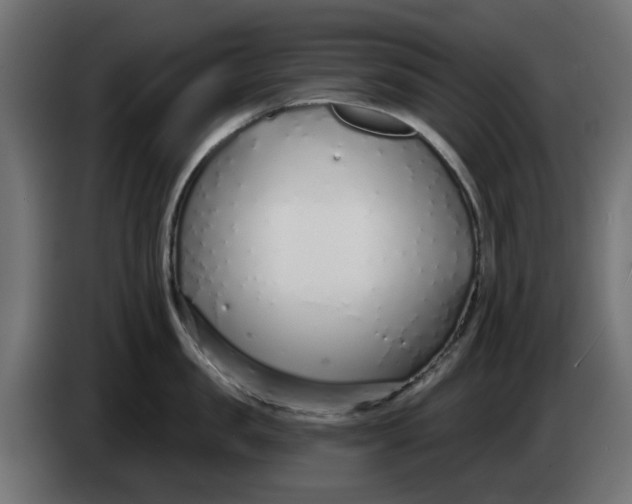 X0000083550957200703021647