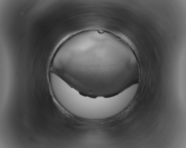 X0000083550958200703021647