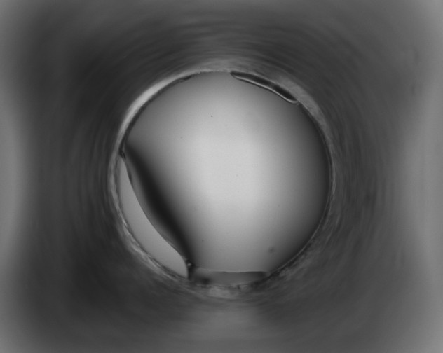 X0000083550960200703021647
