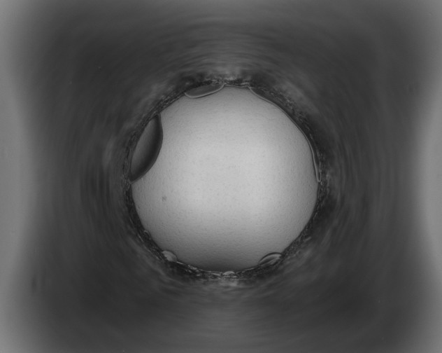 X0000083550961200703021646