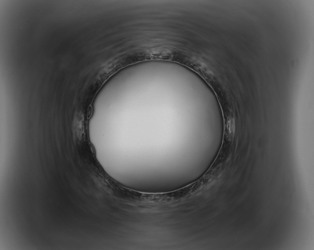 X0000083550963200703021646