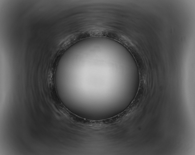 X0000083550964200703021646