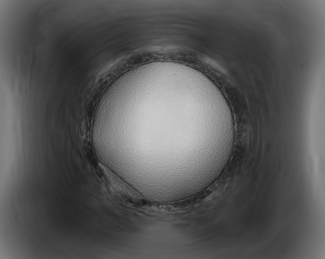X0000083550966200703021646