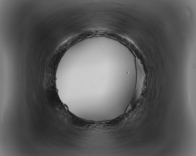 X0000083550967200703021646