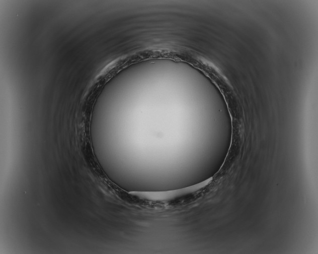 X0000083550968200703021646