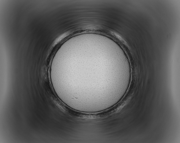 X0000083550970200703021646