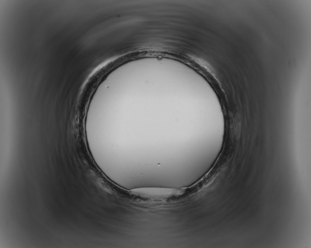 X0000083550971200703021646
