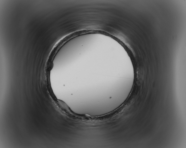 X0000083550972200703021646
