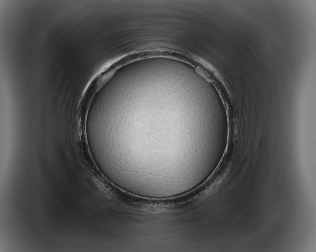 X0000083550973200703021646