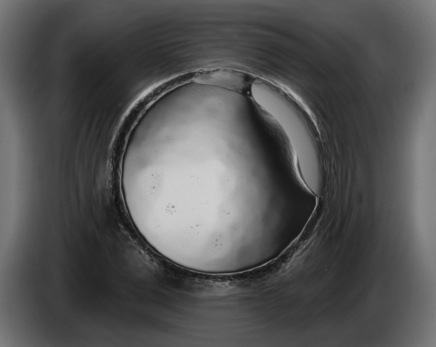 X0000083550975200703021646