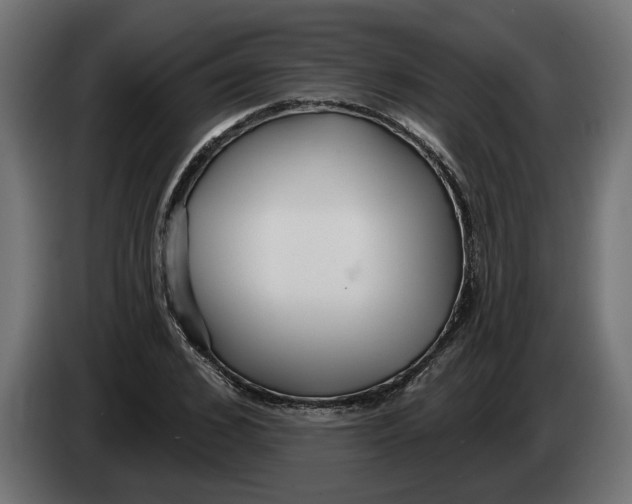X0000083550976200703021646