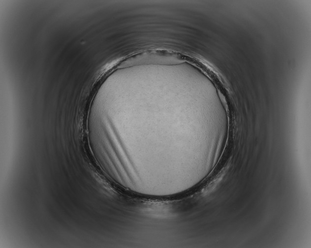 X0000083550977200703021646