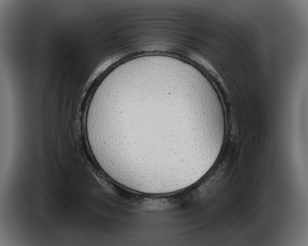 X0000083550978200703021646