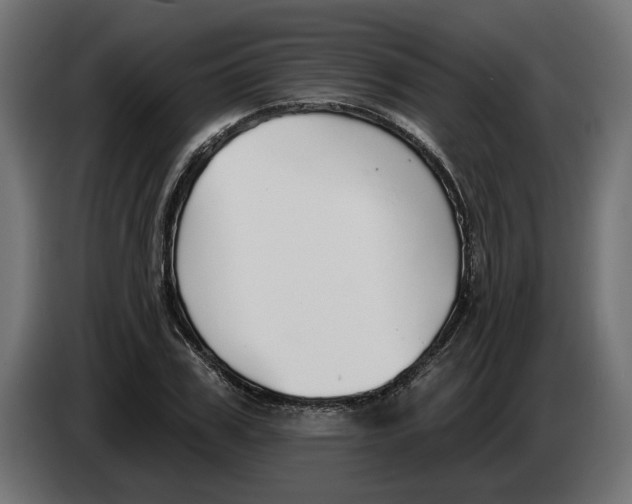 X0000083550979200703021646