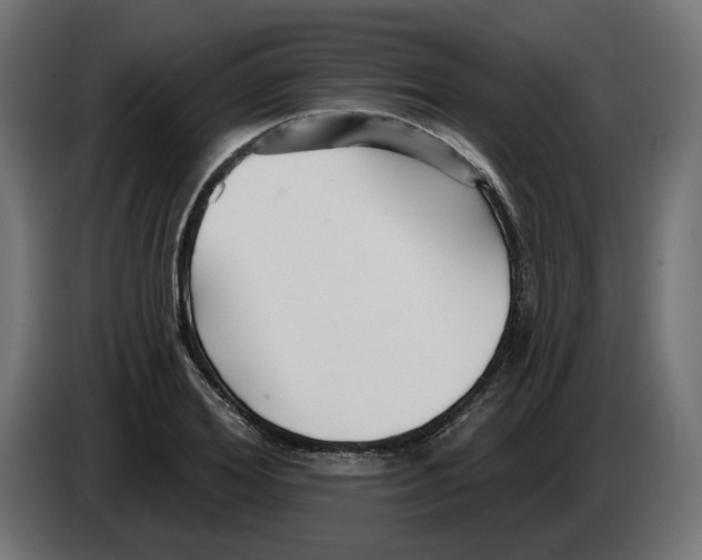 X0000083550980200703021646