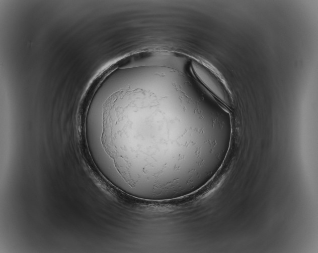 X0000083550981200703021646