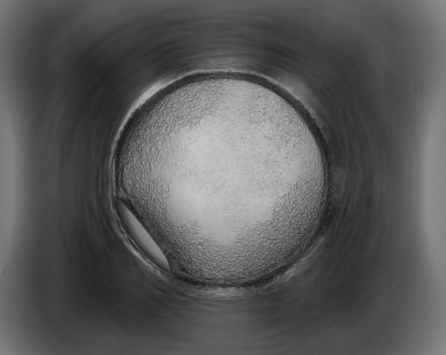 X0000083550982200703021646