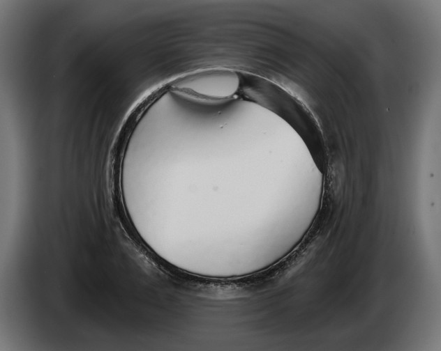 X0000083550983200703021646