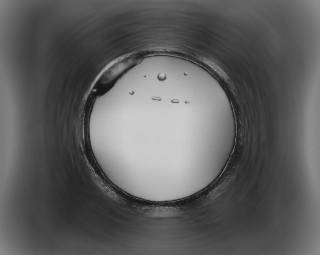 X0000083550984200703021646