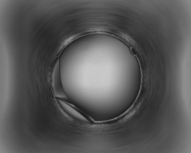 X0000083550985200703021646
