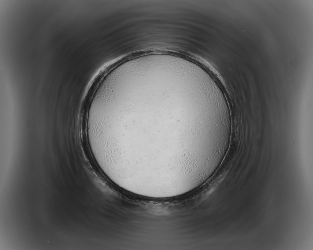 X0000083550987200703021646
