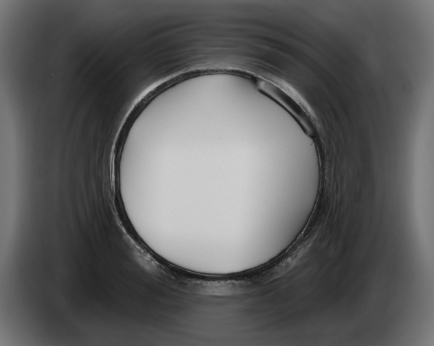 X0000083550988200703021646