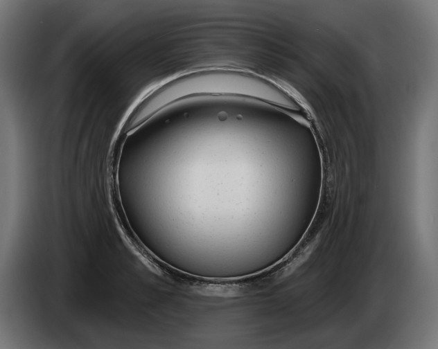 X0000083550989200703021646