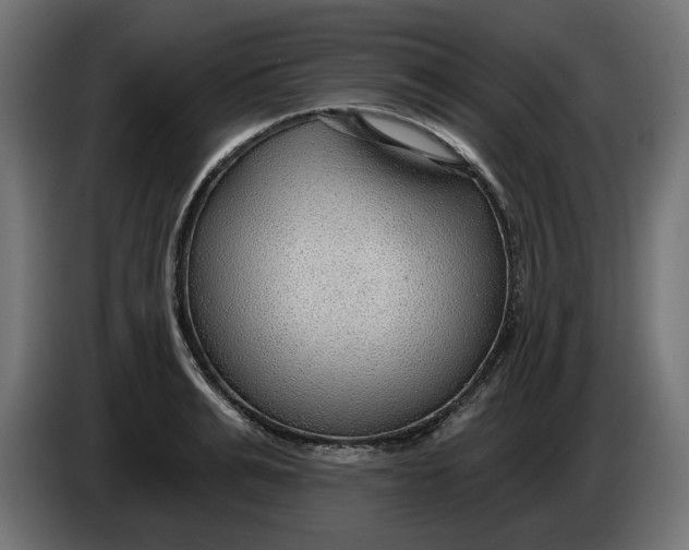 X0000083550991200703021646