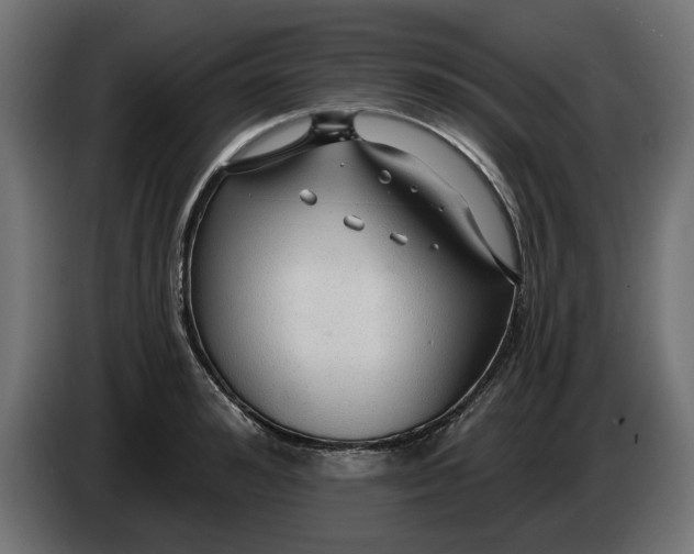 X0000083550992200703021646