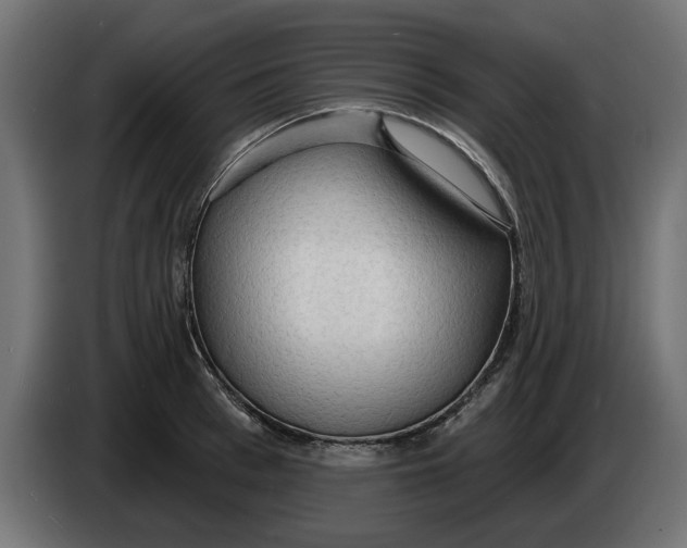 X0000083550993200703021646