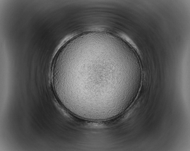 X0000083550994200703021646